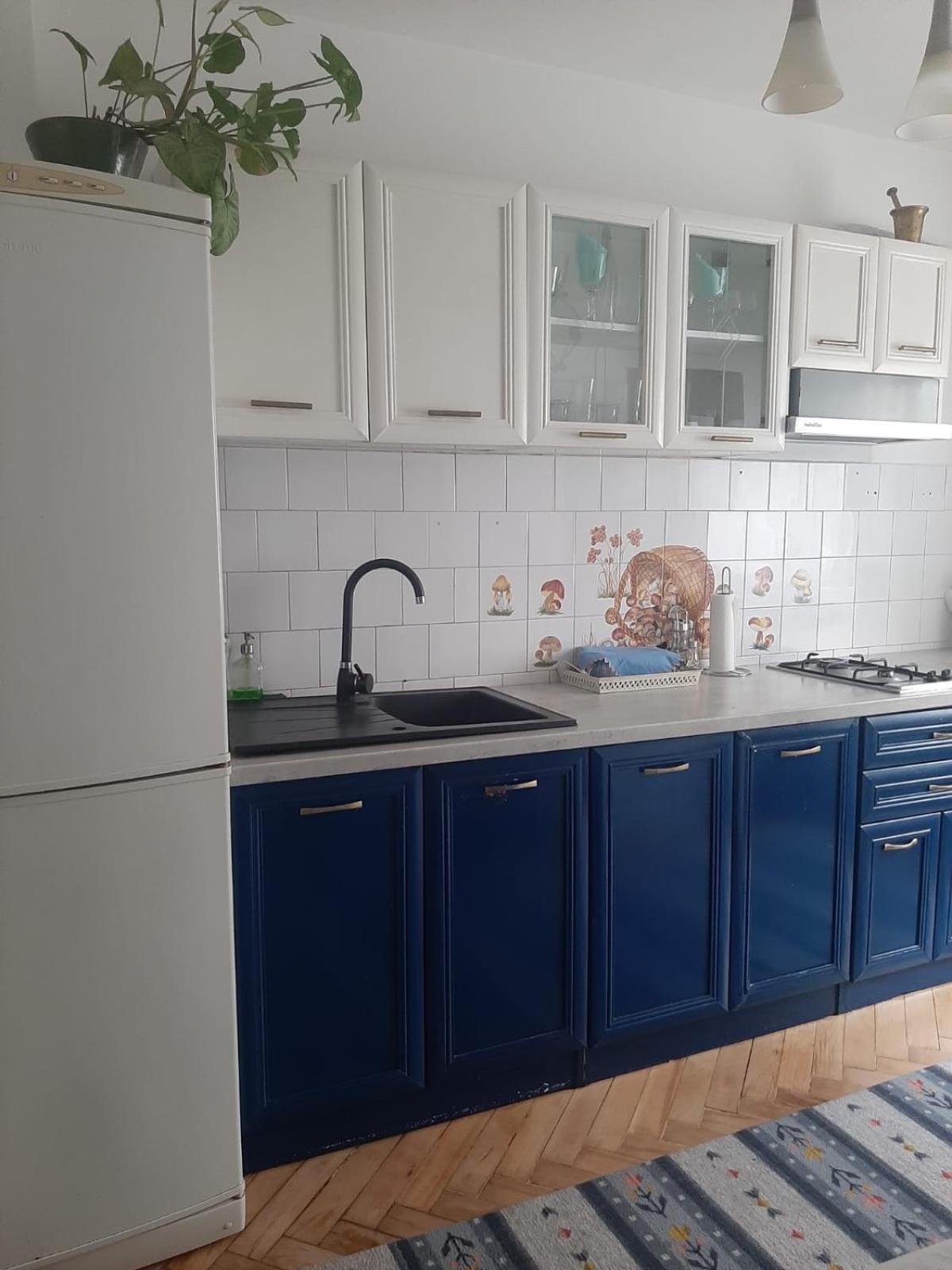 Mari&Vio Apartment クルージュ＝ナポカ エクステリア 写真
