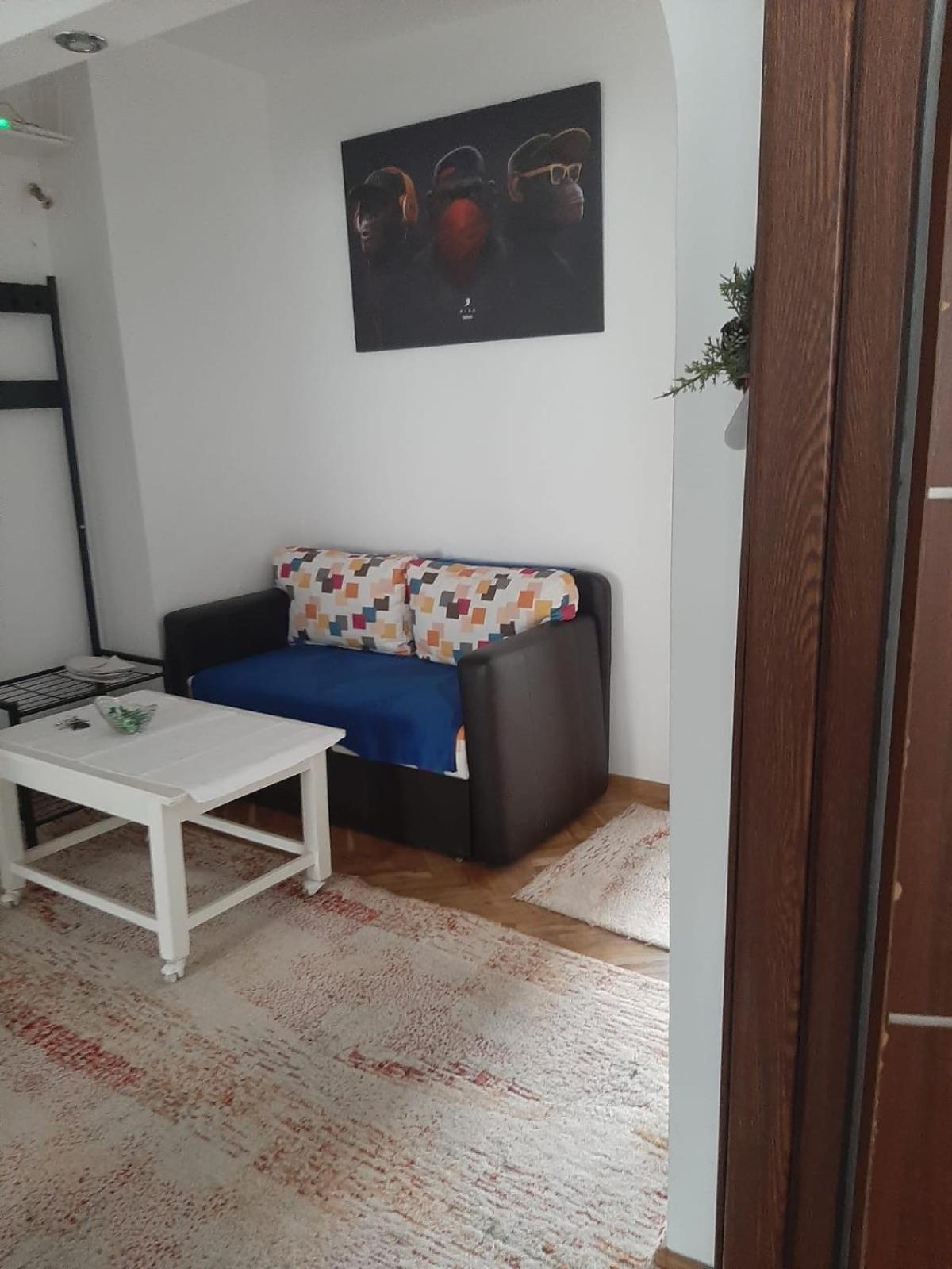 Mari&Vio Apartment クルージュ＝ナポカ エクステリア 写真