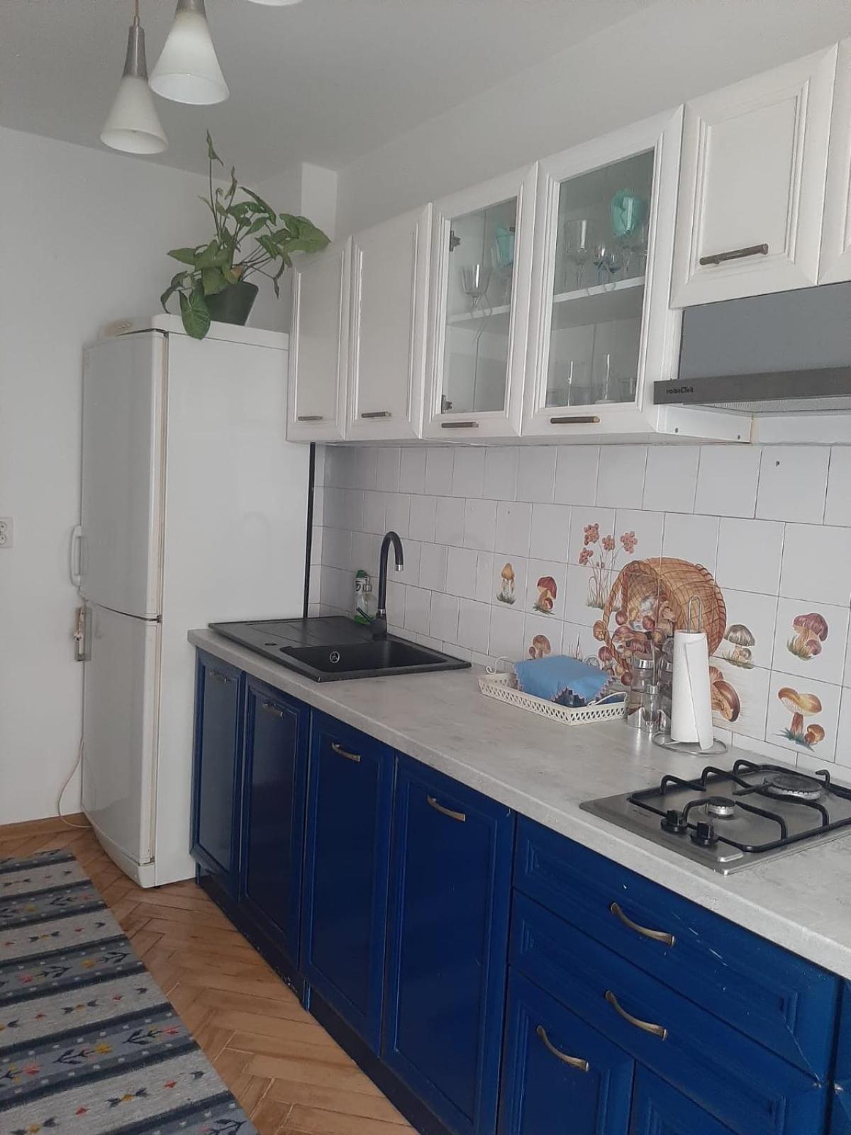 Mari&Vio Apartment クルージュ＝ナポカ エクステリア 写真